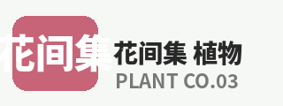 免费看片