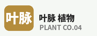 免费看片