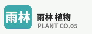 免费看片