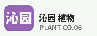 免费看片
